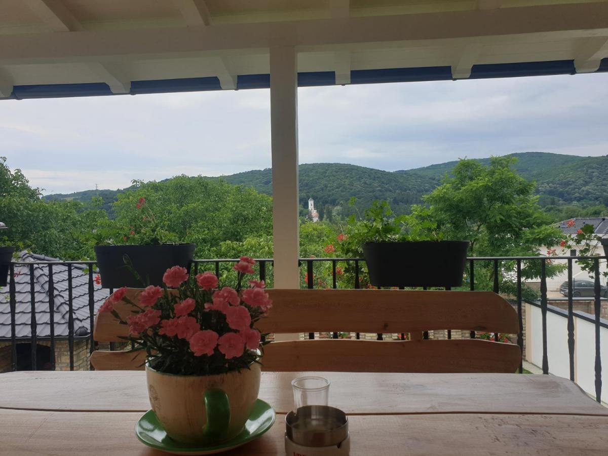 Apartmani Kruna Vrdnik Exterior foto